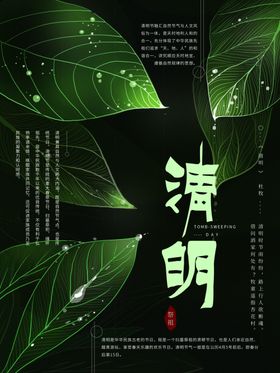 清明节踏青插画海报艺术字体设计