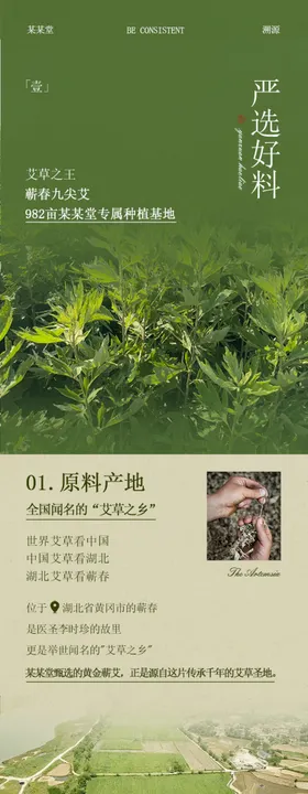 关于湿气中医分享长图