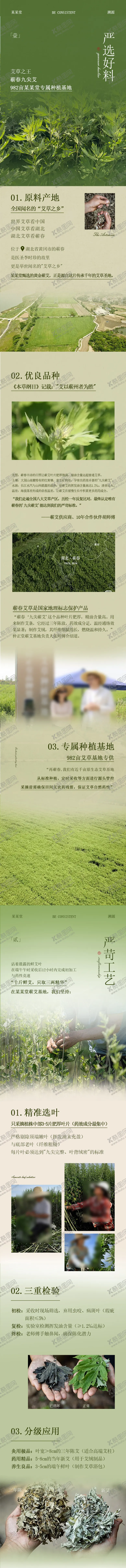 编号：75329312251353297362【酷图网】源文件下载-中医长图