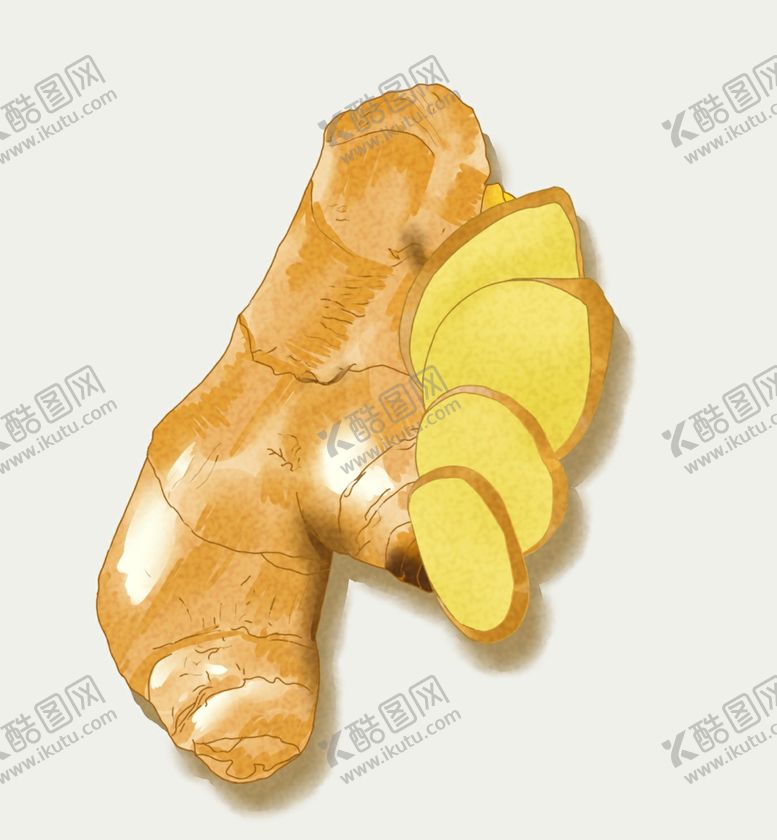 编号：42497510191415476275【酷图网】源文件下载-生姜切片插画姜画