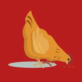 手绘线描小鸡
