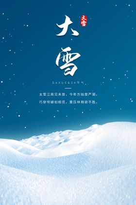 编号：78043510010035344538【酷图网】源文件下载-大雪海报