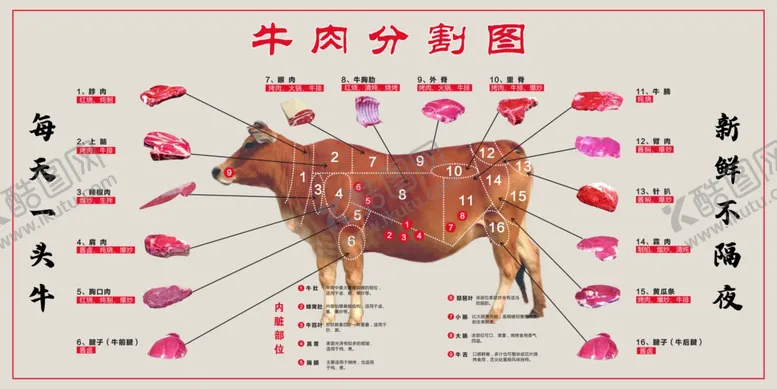 编号：98316502230338587656【酷图网】源文件下载-牛肉分割图