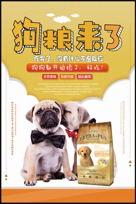 狗粮