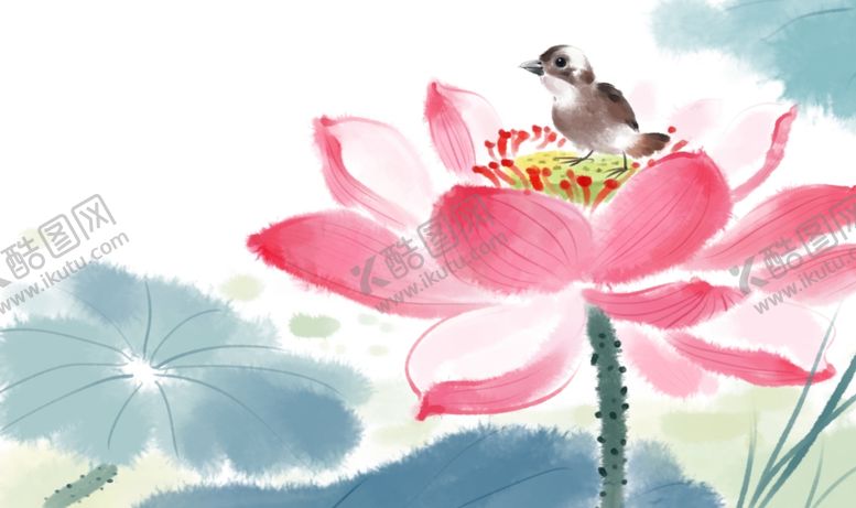 编号：58577910020106509915【酷图网】源文件下载-荷花插画