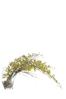 免抠背景花草树木