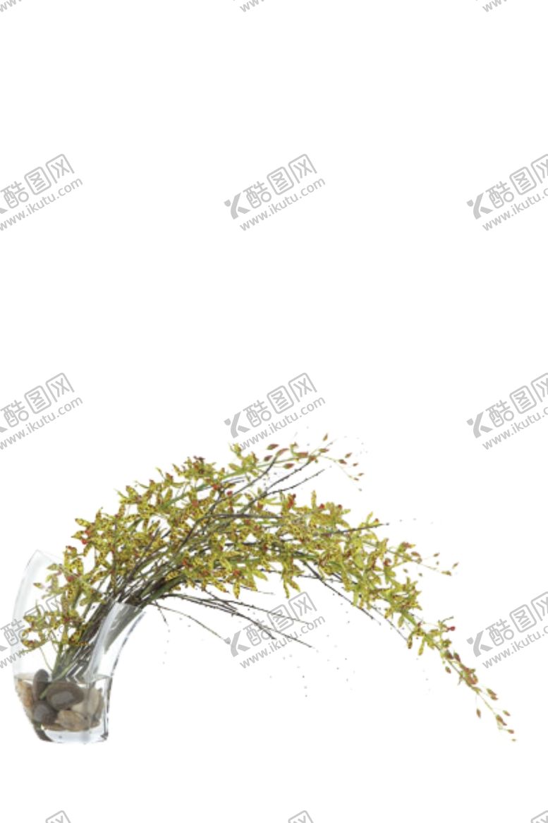 编号：33363406152315307277【酷图网】源文件下载-免抠背景花草树木