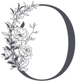 字母O