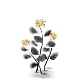 重阳节素材
