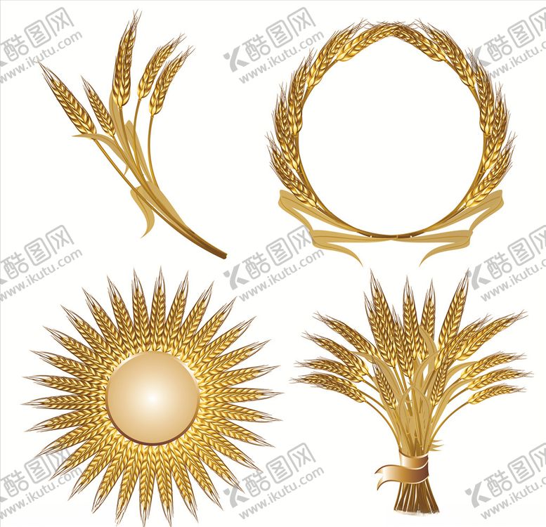 编号：76024809210034047151【酷图网】源文件下载-金色麦穗