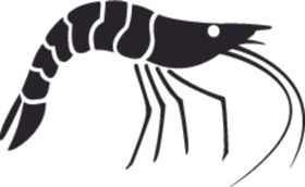 海洋生物系列大虾矢量图动