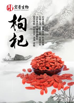 枸杞海报
