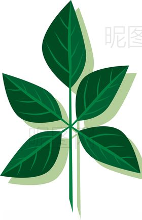 树叶