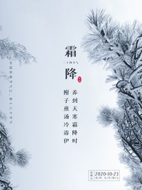 霜降海报雪花宣传插画节日