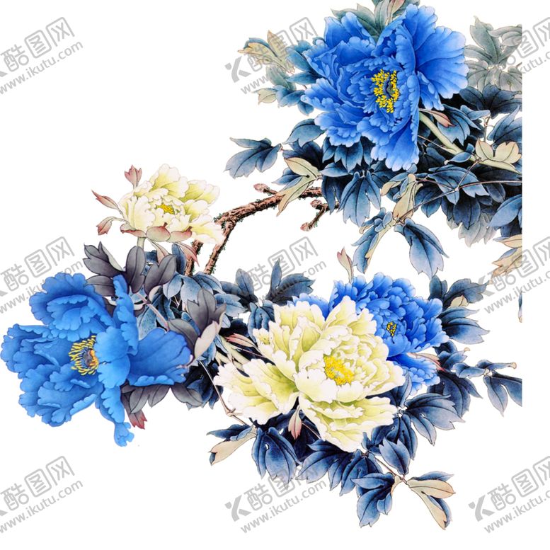 编号：24253507050918382010【酷图网】源文件下载-牡丹花