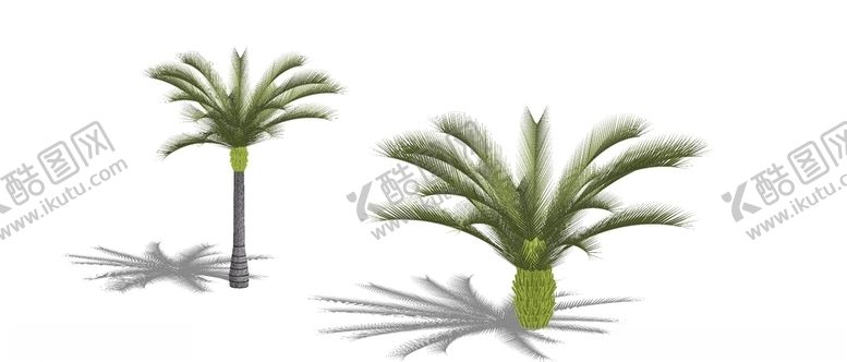 编号：62957809140418588430【酷图网】源文件下载-铁树模型