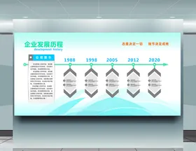 企业发展历程
