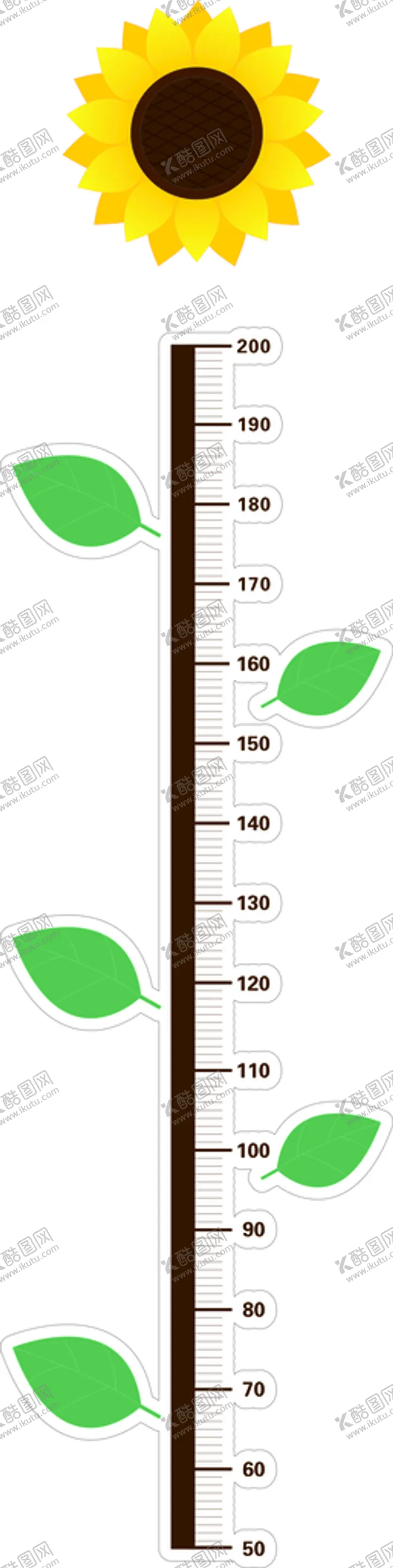 编号：53926901170235532563【酷图网】源文件下载-身高尺