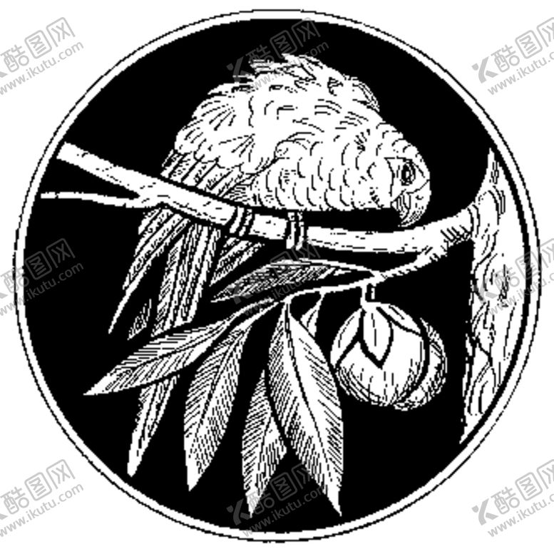 编号：58940710091548164527【酷图网】源文件下载-镂空花图案