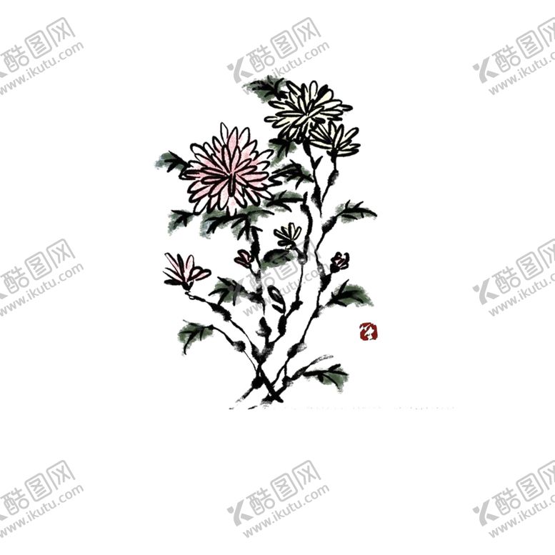 编号：70064809290307176127【酷图网】源文件下载-国画菊花