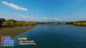 胡杨林