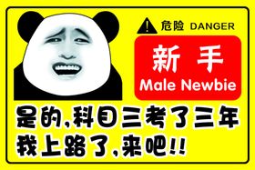 新手女司机