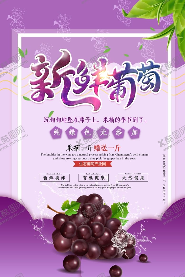 编号：97680109121148177167【酷图网】源文件下载-新鲜葡萄海报