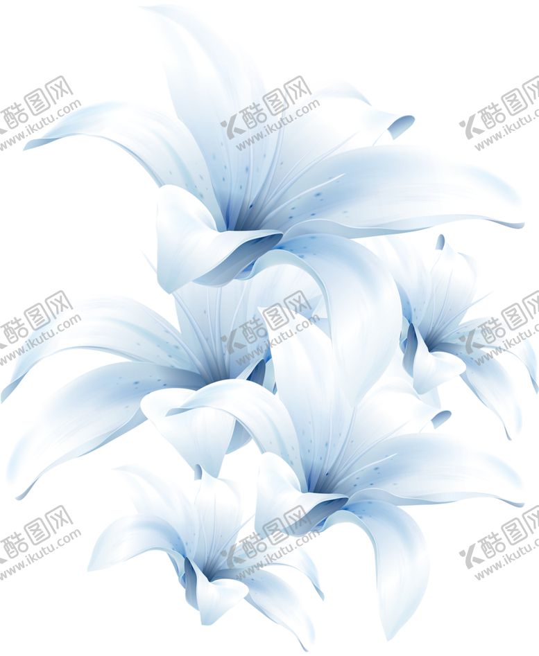 编号：94629406272308589725【酷图网】源文件下载-百合