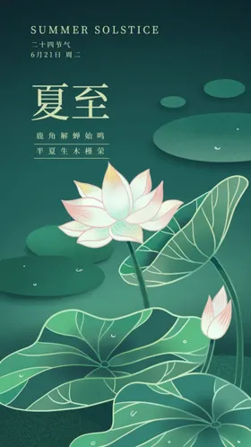 夏至海报立冬立秋雨水