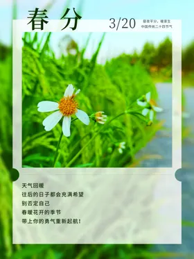 春分地产房地产海报闪屏