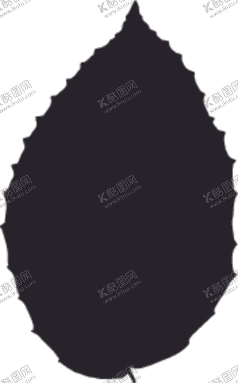 编号：95383209190308148202【酷图网】源文件下载-植物系列树叶