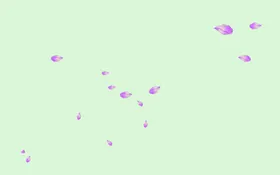 花瓣