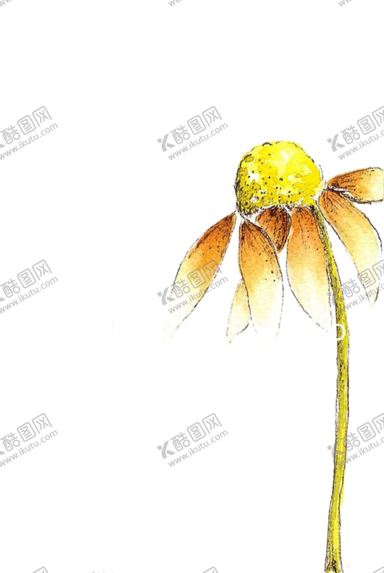 编号：10716509271736223881【酷图网】源文件下载-免抠背景干花枯花