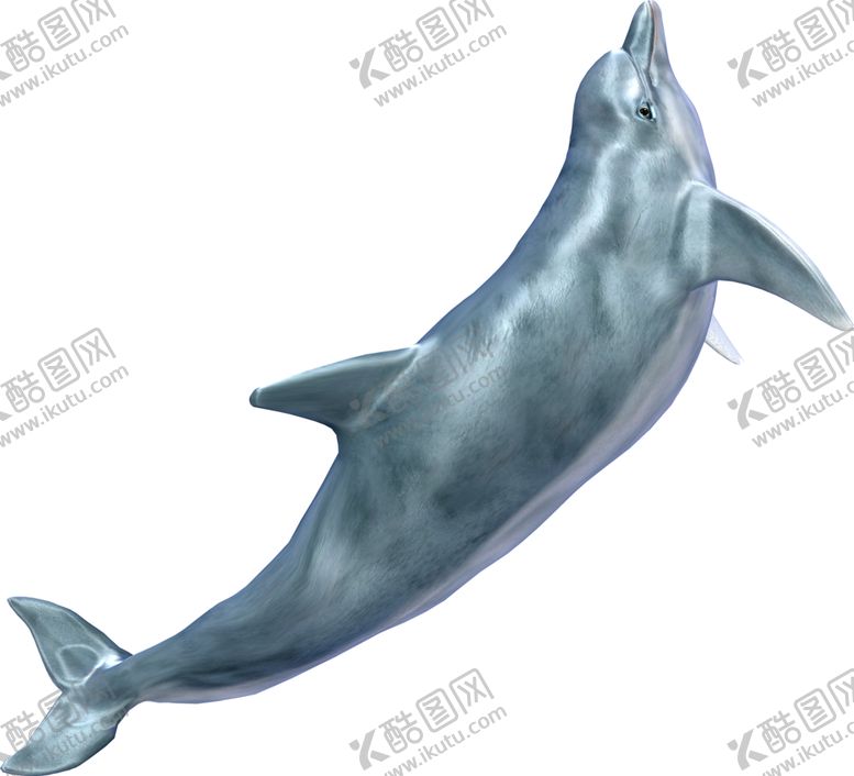 编号：99430602130254034654【酷图网】源文件下载-蓝色 鲸鱼 海洋 卡通 可爱 