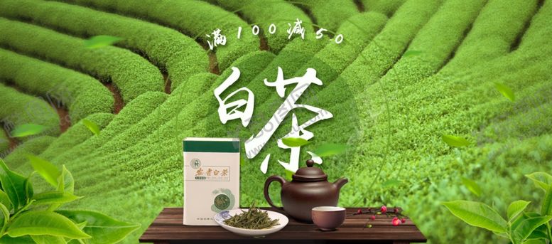 编号：48525009211352198913【酷图网】源文件下载-白茶