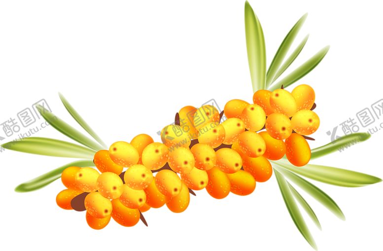 编号：63497810090206008151【酷图网】源文件下载-水果