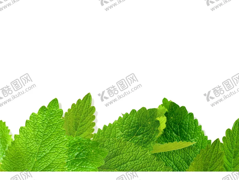 编号：82139807022103017087【酷图网】源文件下载-绿色装饰