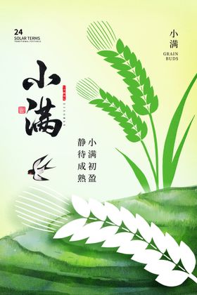 小满节气背景设计