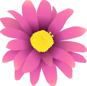 写实花卉手绘插图水彩朵素材大自然