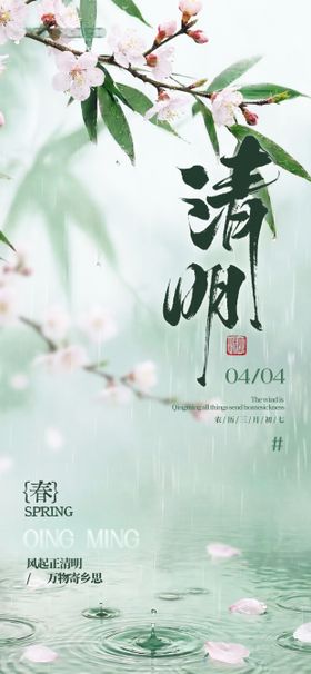 唯美绿色中国风清明节气春雨落花海报