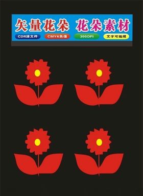 花瓣和花朵