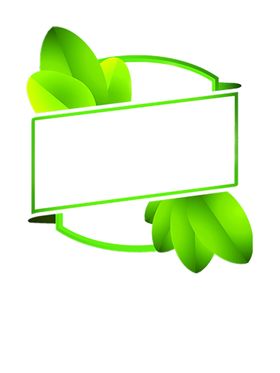 花边背景时尚素材纹