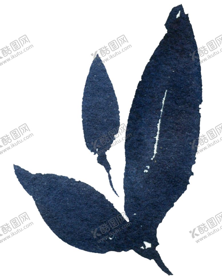 编号：56969302090734333127【酷图网】源文件下载-花叶 