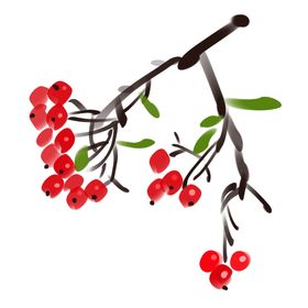 手绘国画花