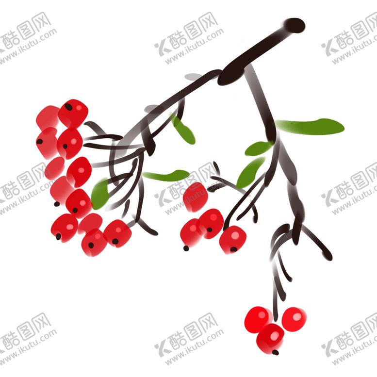 编号：70742909180059297451【酷图网】源文件下载-手绘枸杞国画