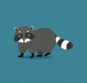 小熊猫