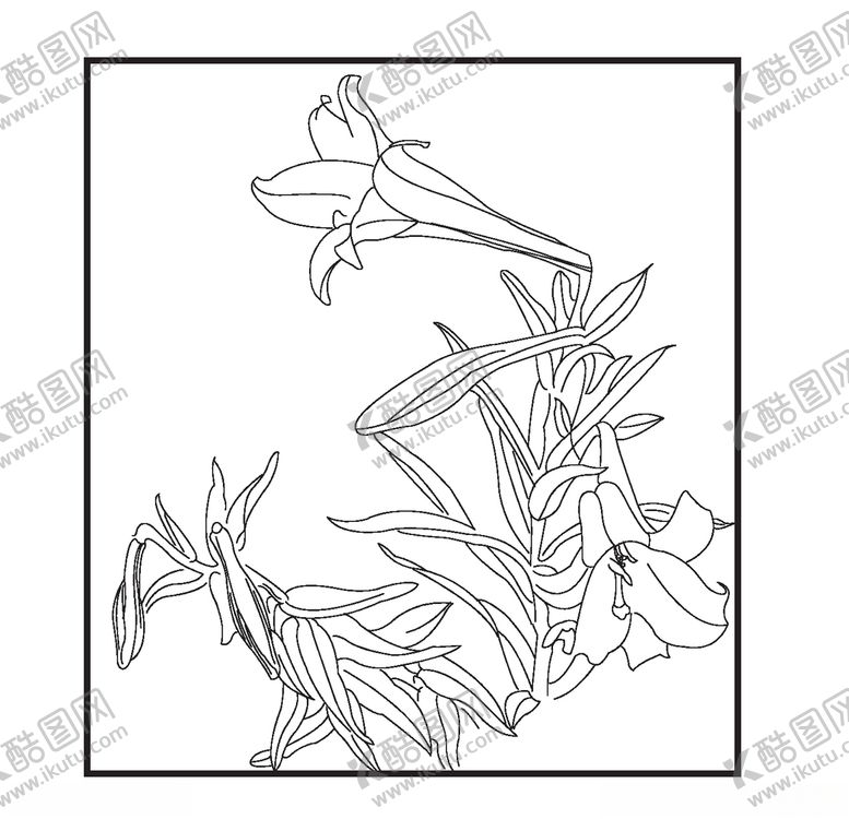 编号：84596109181855557447【酷图网】源文件下载-百合