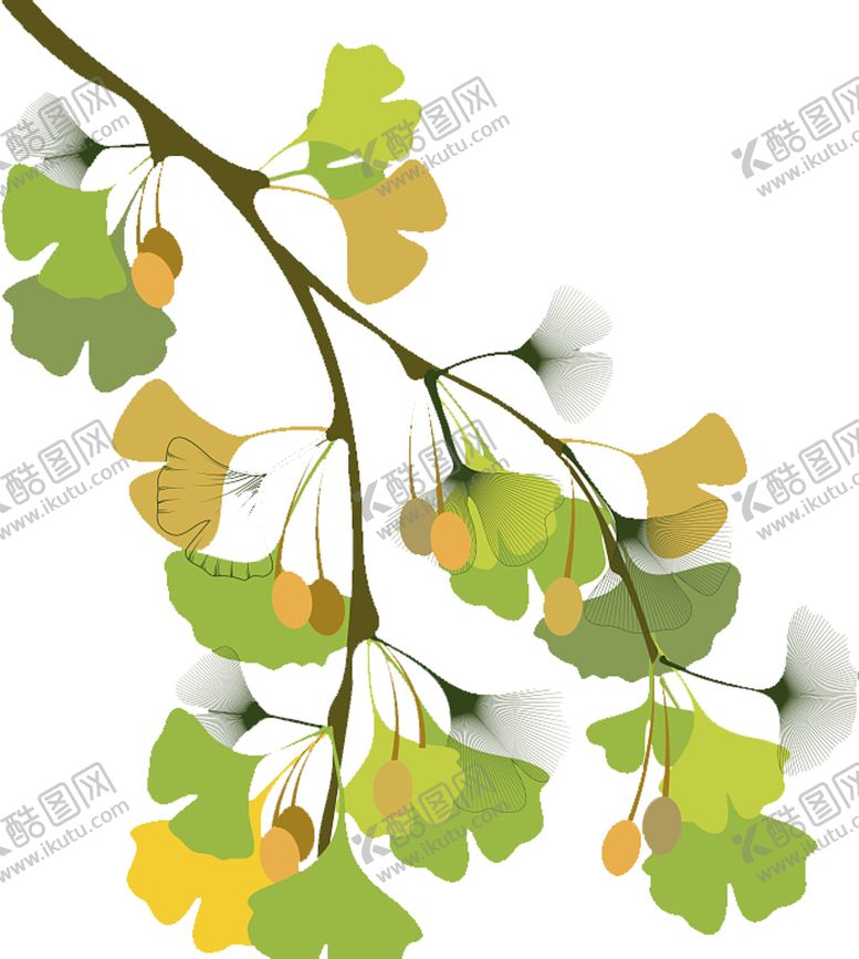 编号：83835510311417598941【酷图网】源文件下载-银杏叶