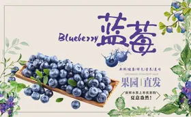 蓝莓水果店海报水果海报水果超市