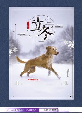 立冬海报